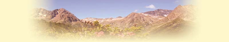 Ventes et locations d'immobilier Chamonix Ventes et locations d'immobilier Chamonix