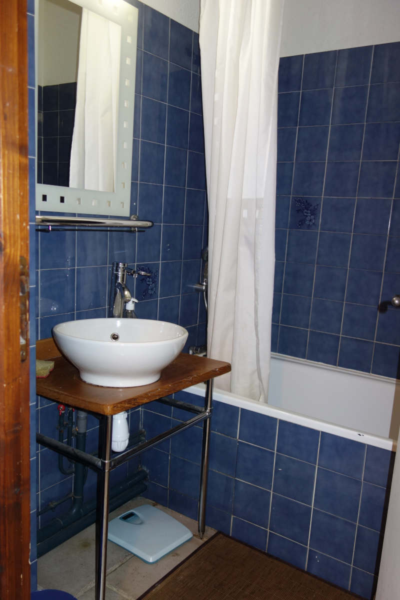 Appartement 1 pièce + alcôve