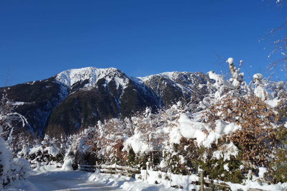 Chamonix Les Bossons