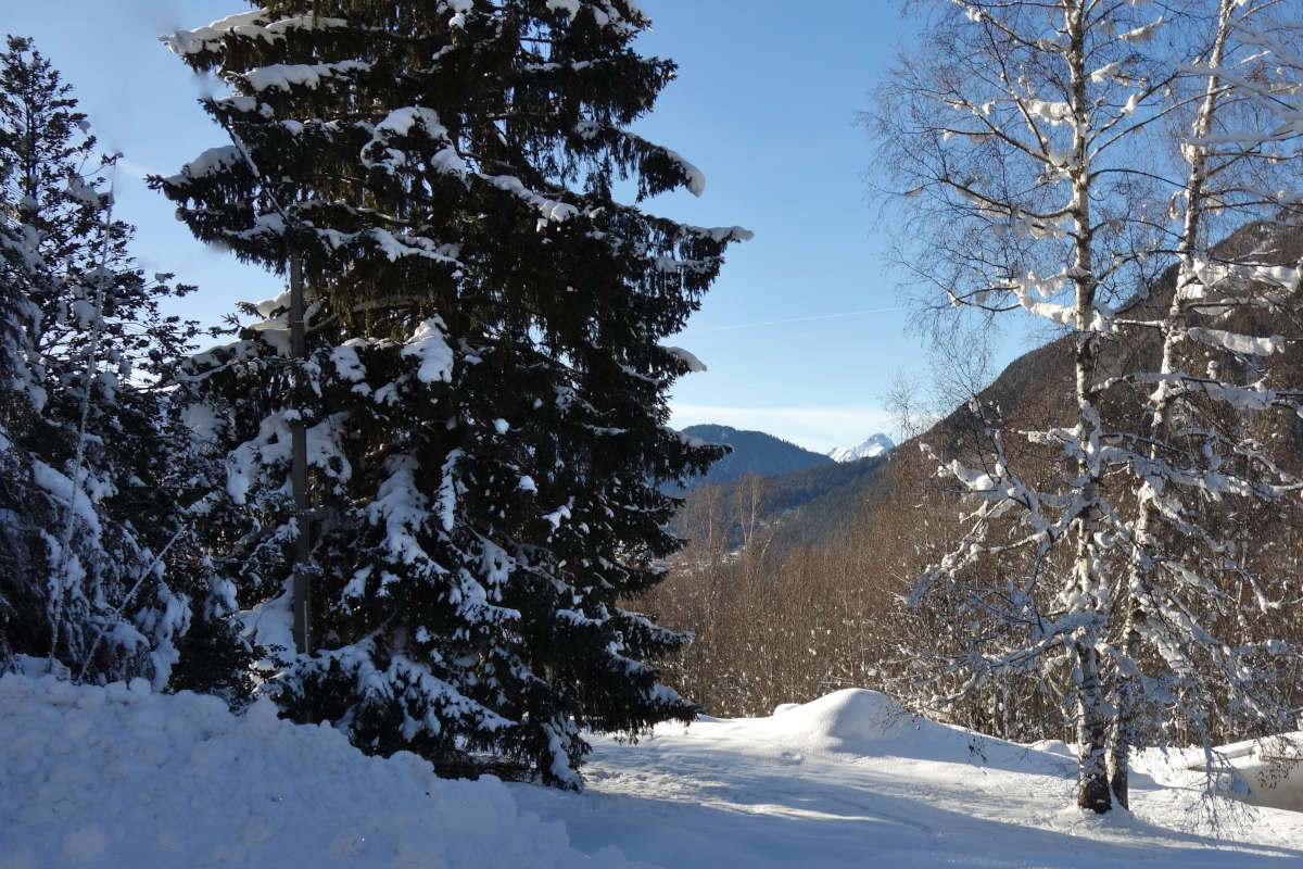 Terrain à bâtir 465 m2