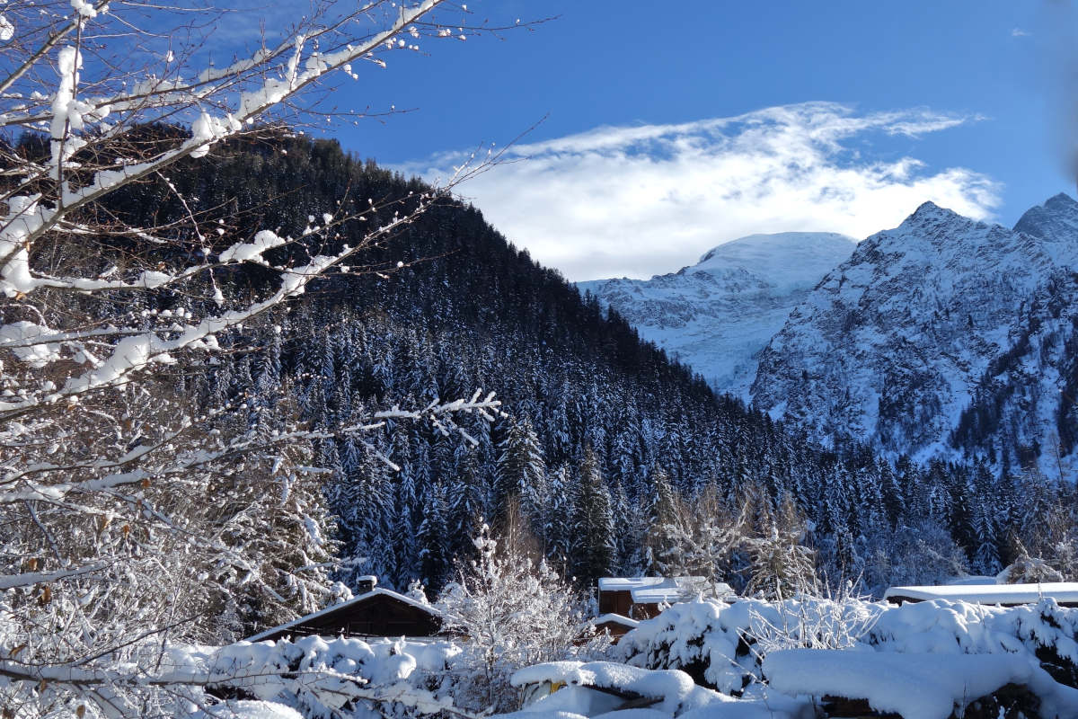 Terrain à bâtir 974 m2