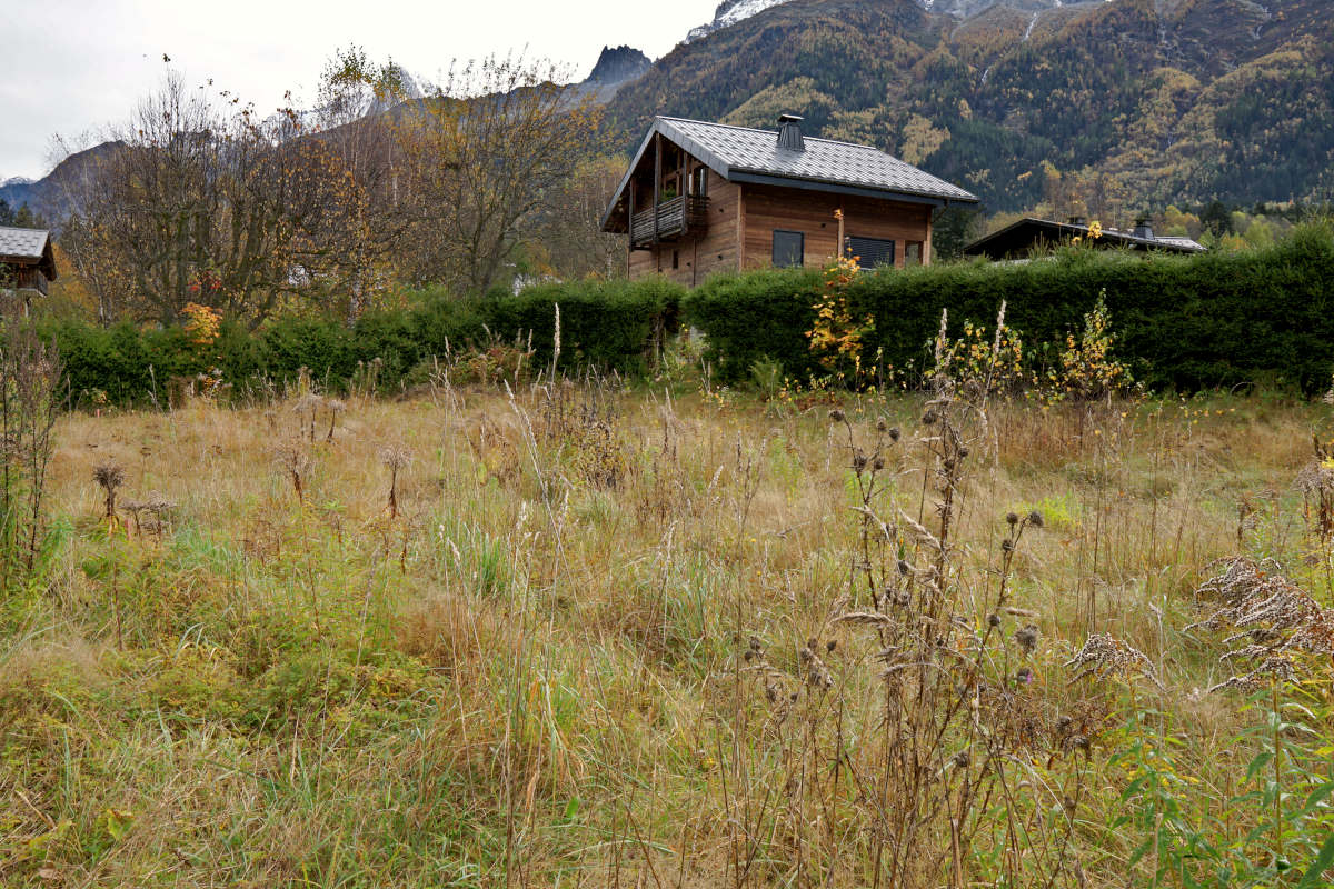 Terrain à bâtir