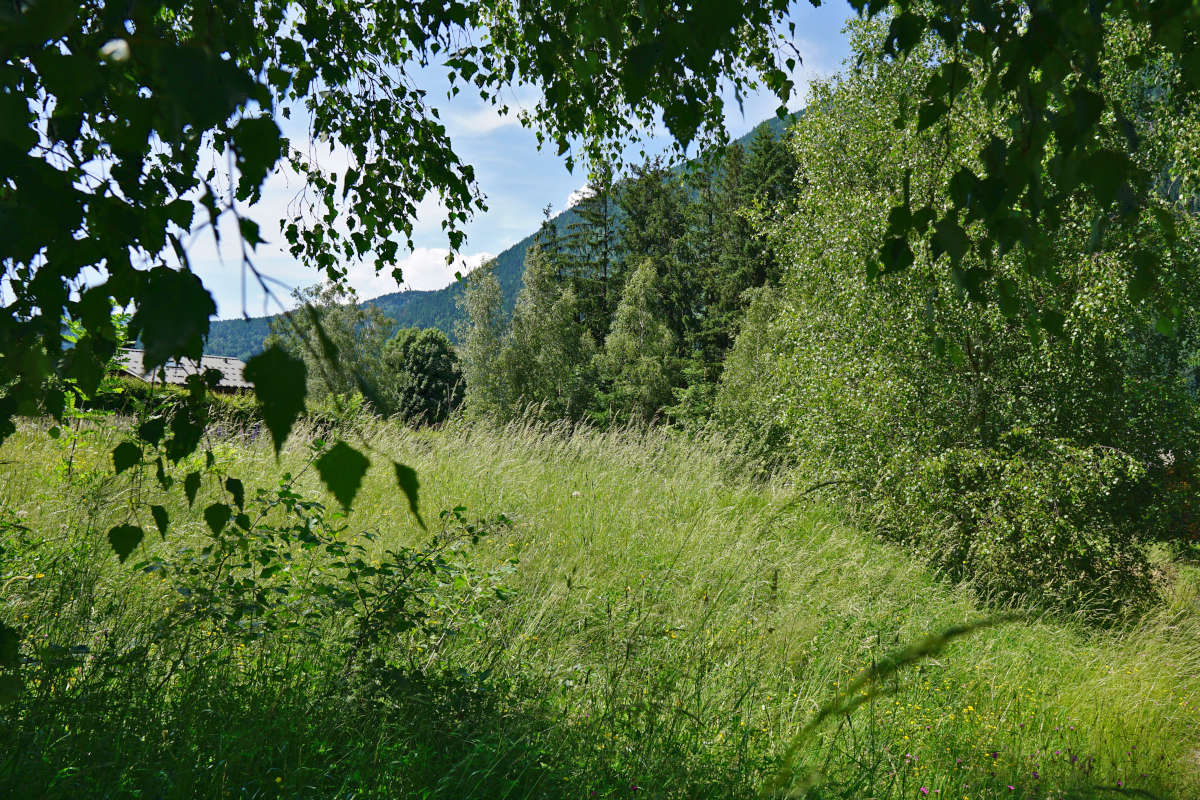 COMMUNE DES HOUCHES 