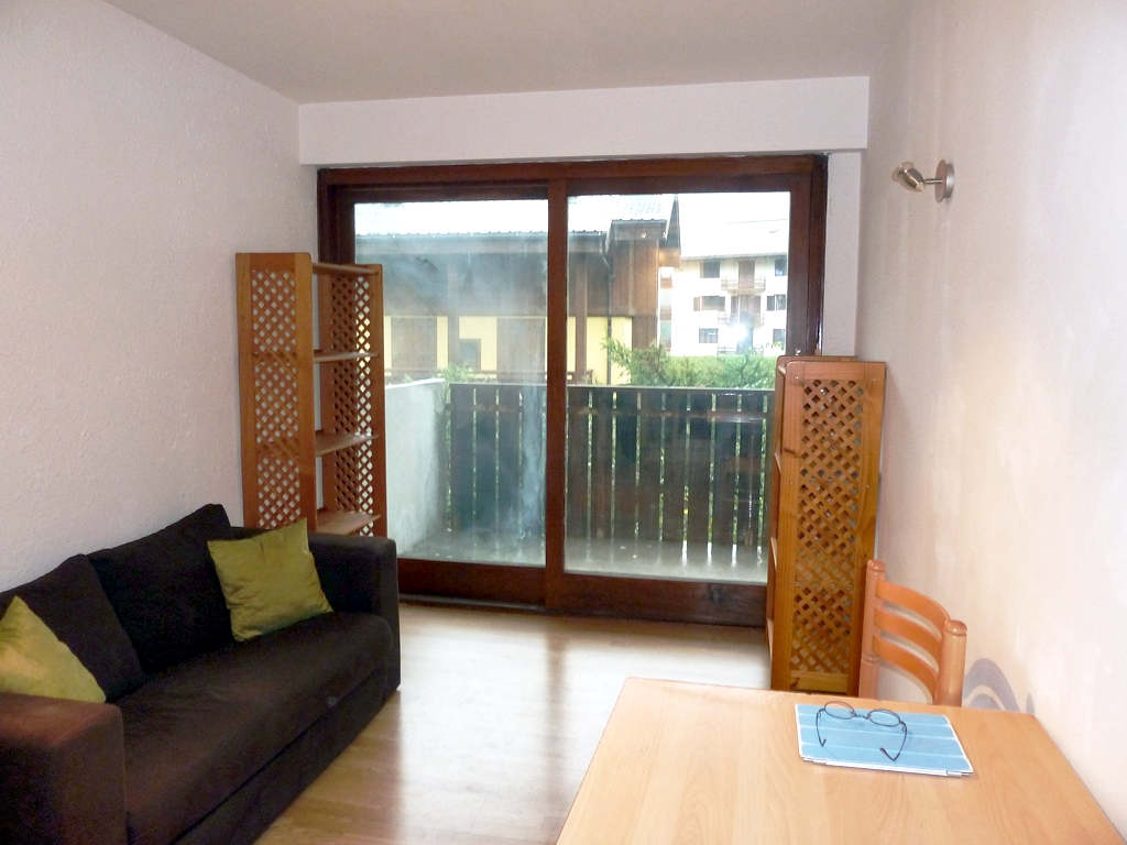 2 room apartment with south facing balcony